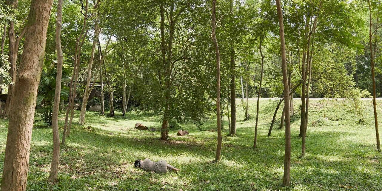 © Pascal Marcel _ Yve Oh